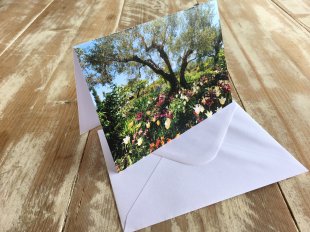 Beneath the Olive Tree