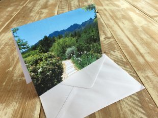 IMG_4483 Garden Path